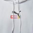 Brand Love Multiplacement Hoodie TR