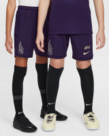 Nike Kylian Mbappe Kids Dri-Fit Shorts
