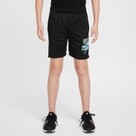 Nike Multi Big Kid