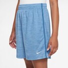 Nike Multi Big Kids (Boys) Dri-FIT Shorts