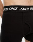 Santa Cruz Strip Boxer Brief Black
