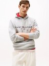 Tommy Hilfiger Core Tommy Logo Hoody