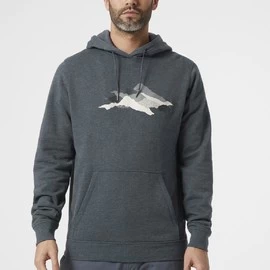 Helly Hansen F2F Organic Cotton Hoodie