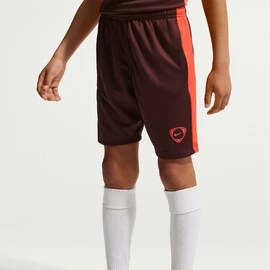 Nike Academy+
