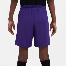 Nike Dri-FIT Park III